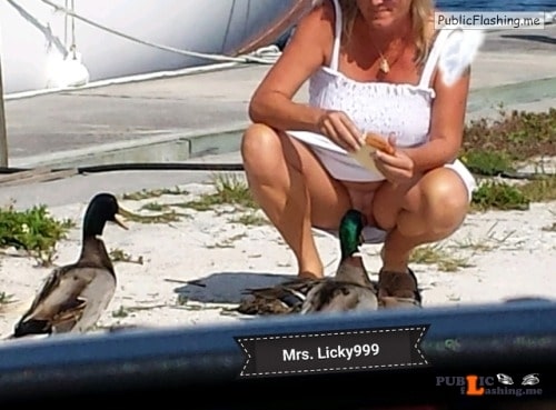 No panties licky999: That is one lucky duck! pantiesless Public Flashing