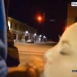 hotwife blowjob tumblr