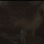 ass flash gif