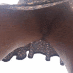 windy upskirt gif