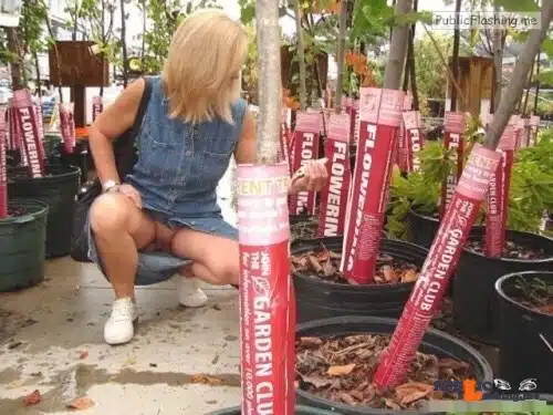 public dick upskirt gif - Exposed in public Photo - Public Flashing Photo Feed
