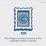 fkk paare gif
