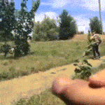 asian no panties gif