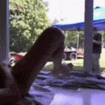sex at window gif