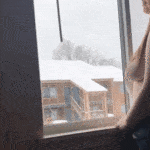 sophiiastarr sit on her boyfriends dick, blowjob