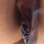 amateur upskirt gif