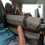 penis in public gif