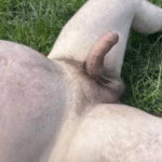 nude sunbathers photos