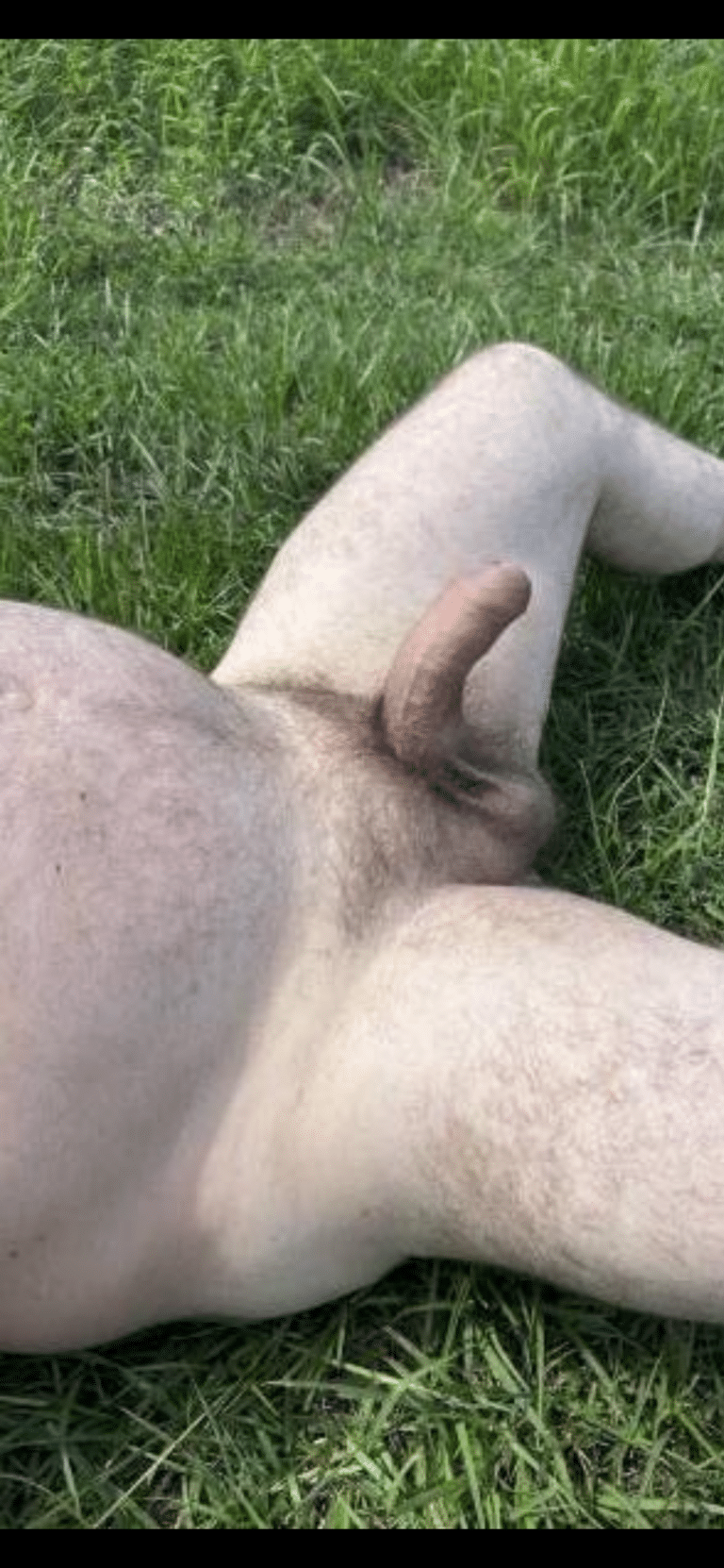 Afternoon Delight: A Man’s Relaxing Sunbathing Session